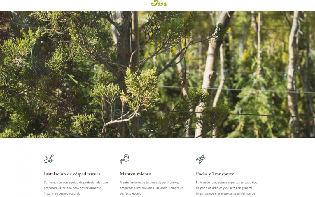 Inauguramos nuestra web