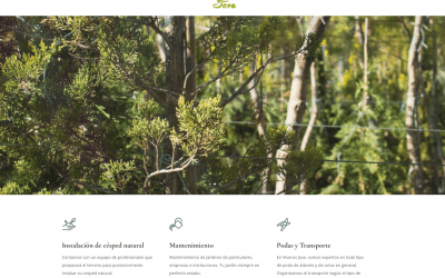 Inauguramos nuestra web