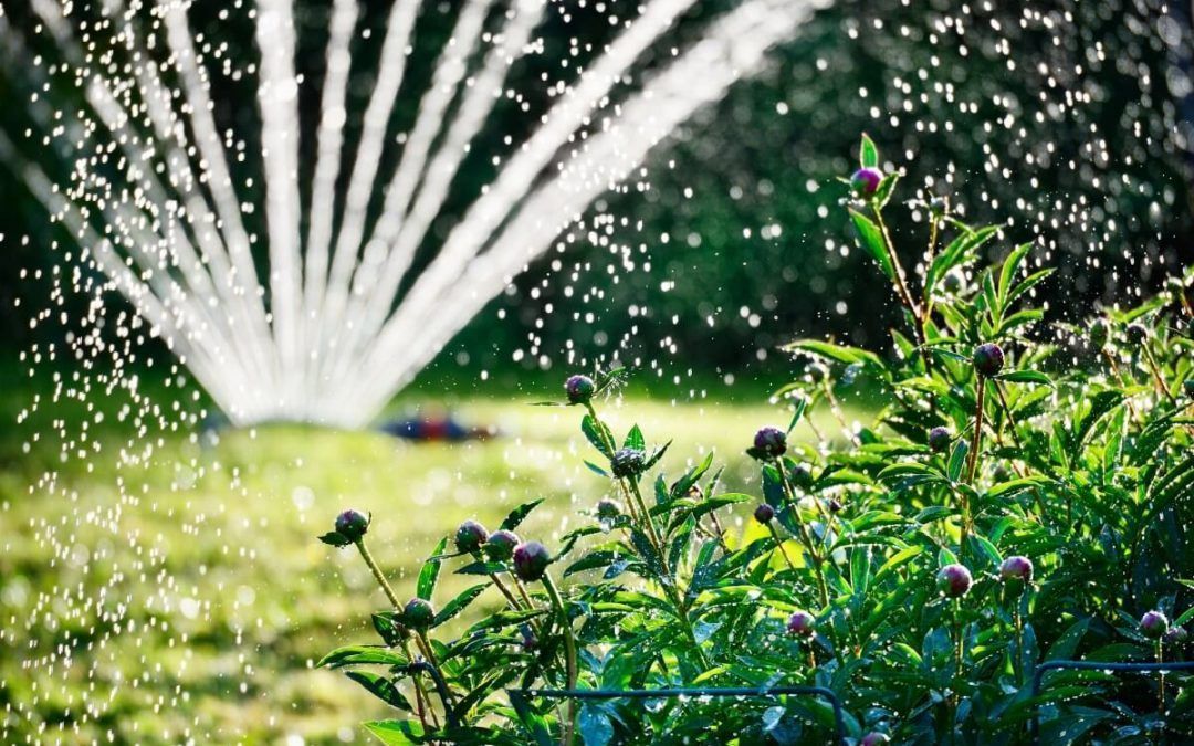 mantenimiento de jardines