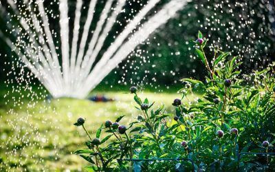Mantenimiento de Jardines en Comunidades