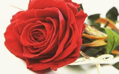 Regalar flores por San Valentín: un clásico atemporal